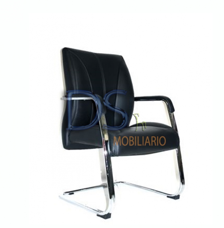 DS/ZID V