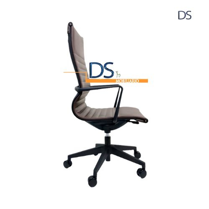 DS/BOG