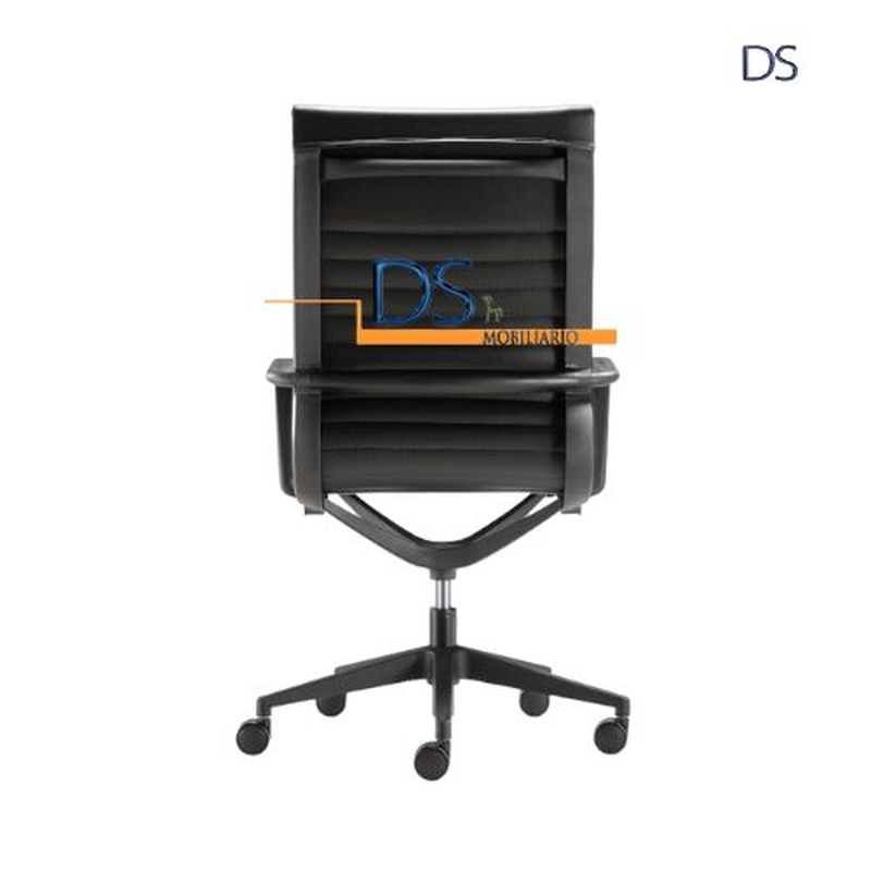 DS/BOG