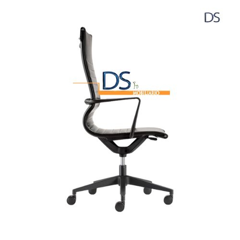 DS/BOG