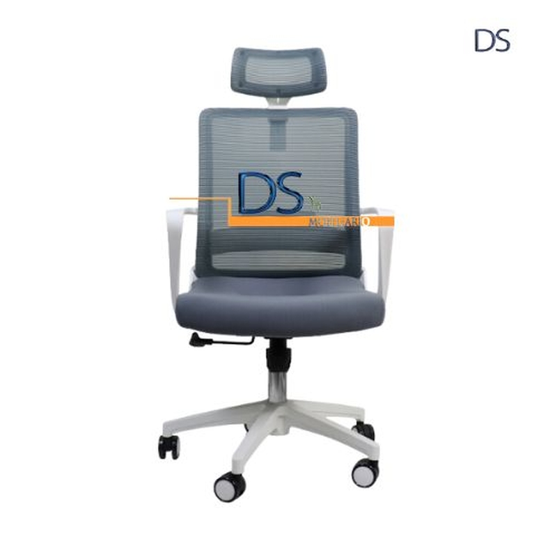 DS/DAVIA