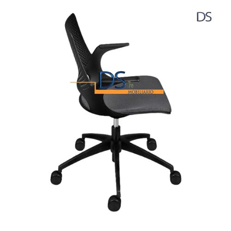 DS/DELLIN