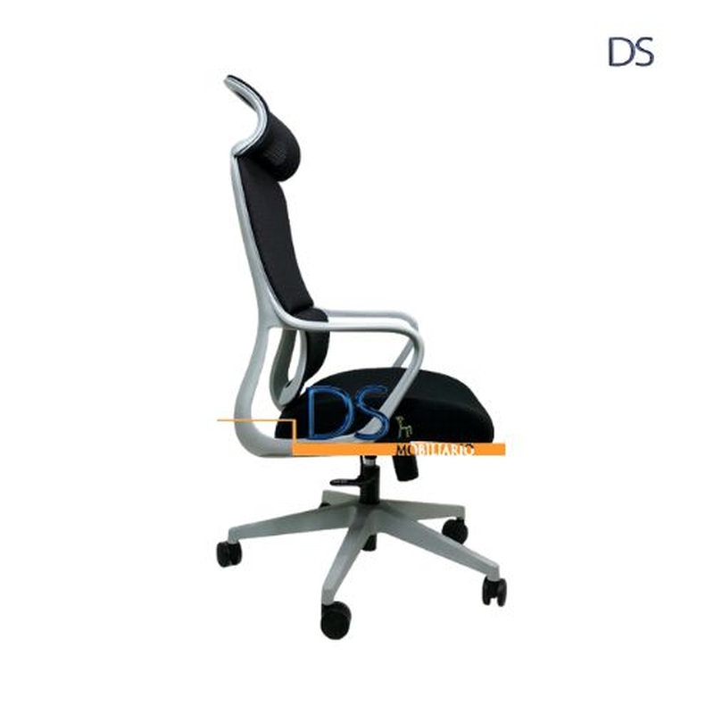 DS/ESL