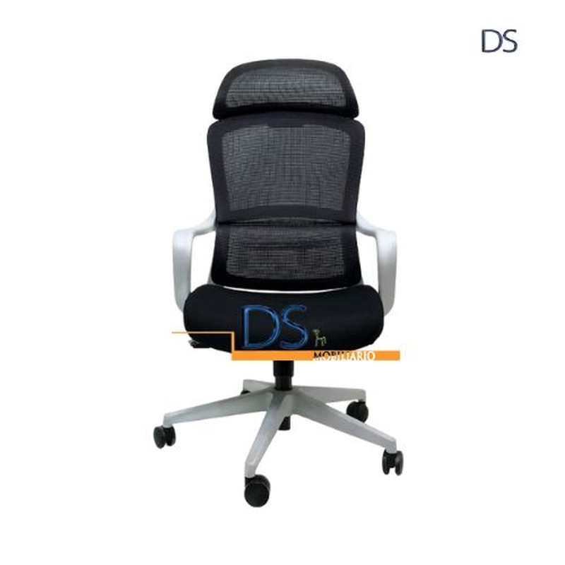 DS/ESL