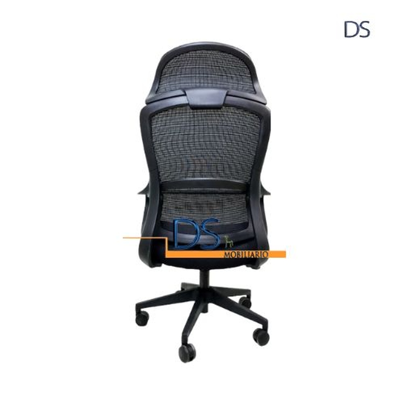 DS/ESL