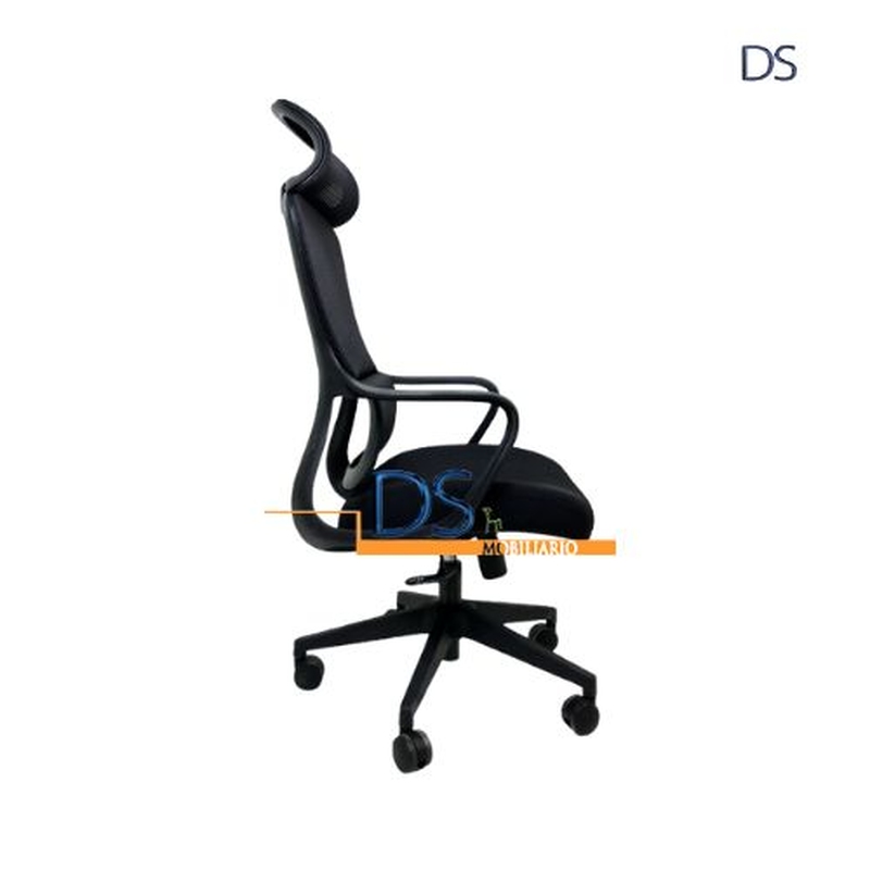 DS/ESL