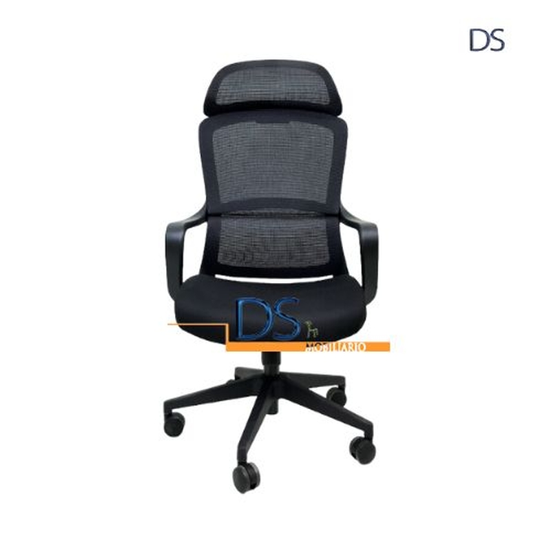 DS/ESL