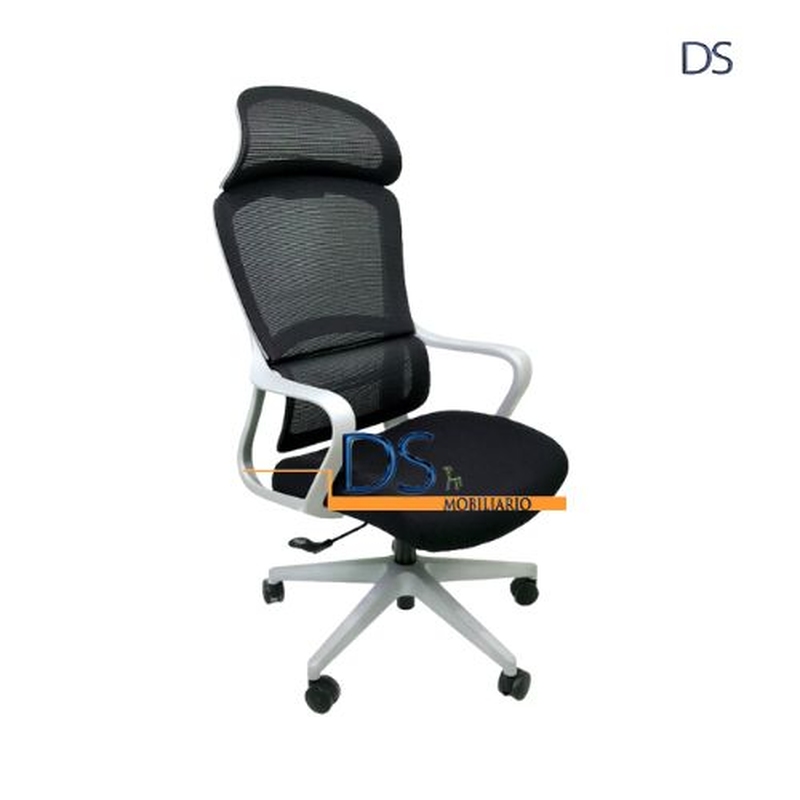 DS/ESL