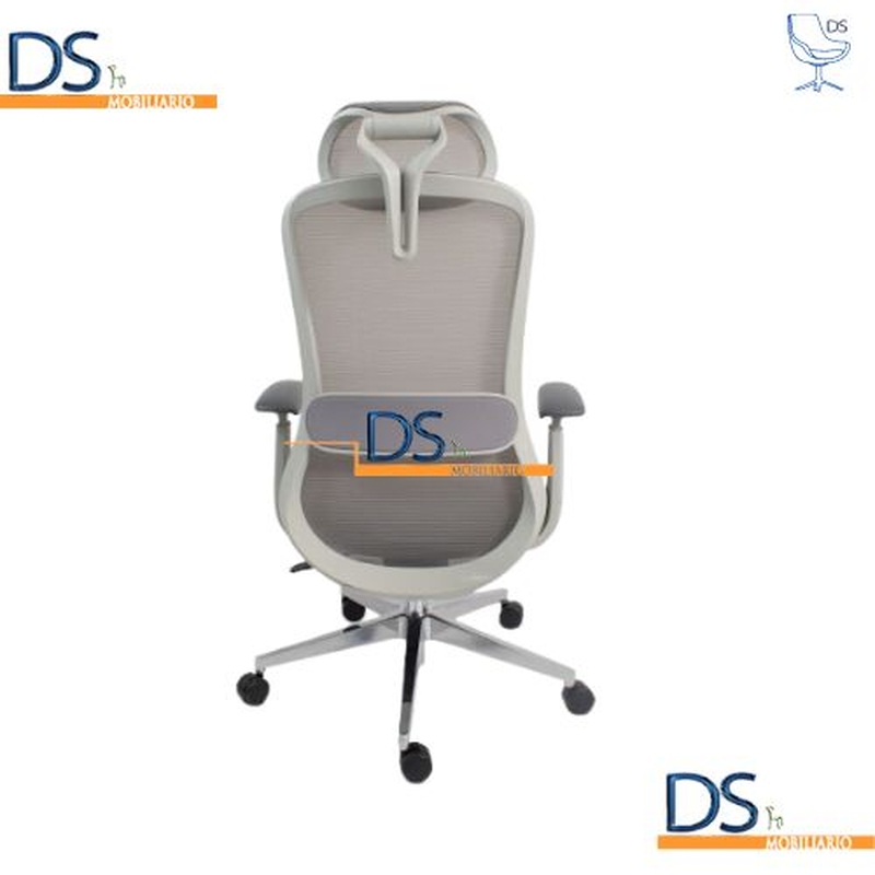 DS/LON-GRIS