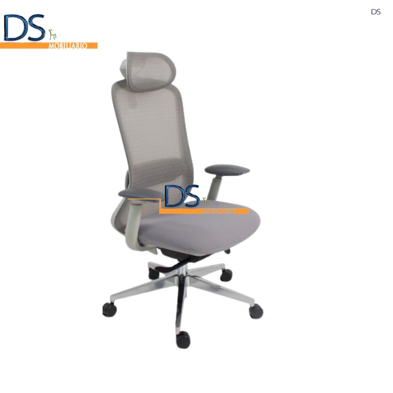 DS/LON-GRIS