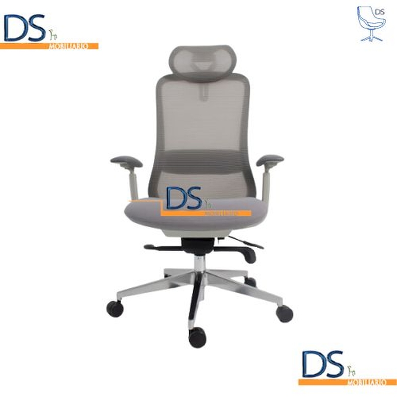 DS/LON-GRIS