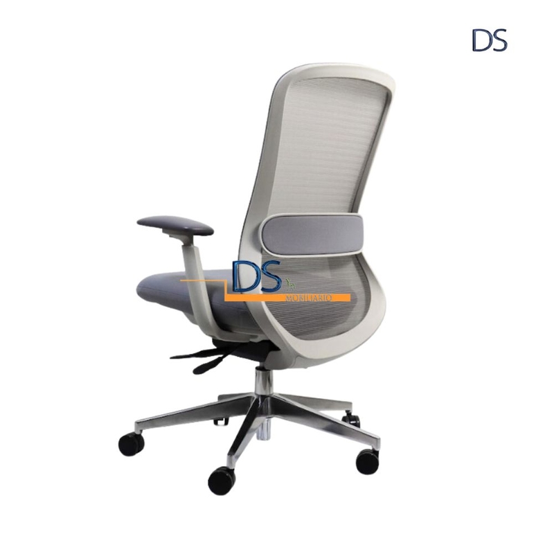 DS/LON-GRIS
