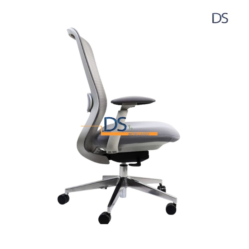 DS/LON-GRIS