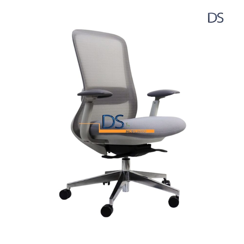 DS/LON-GRIS