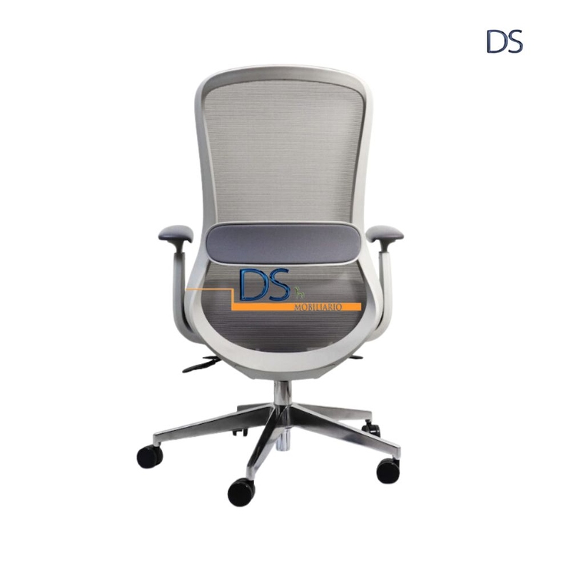 DS/LON-GRIS