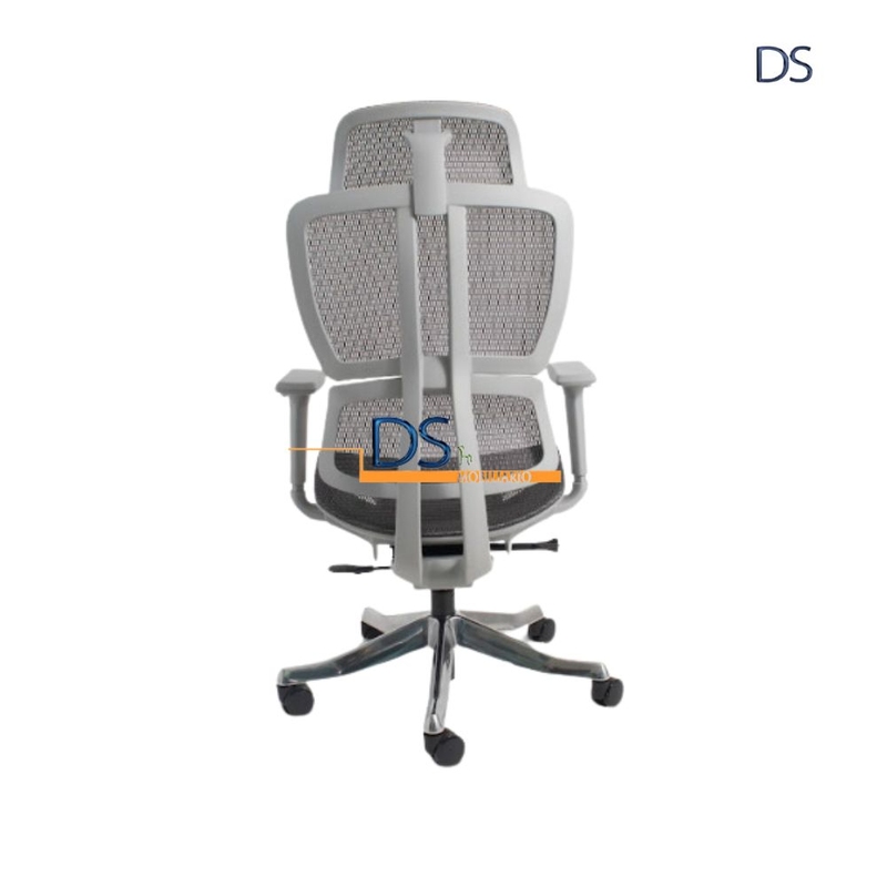 DS/MON