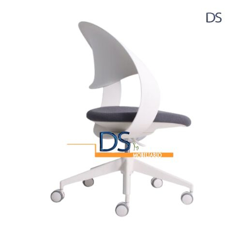DS/CAR