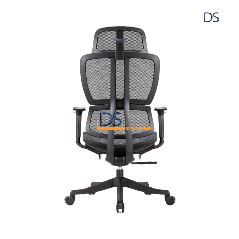 DS/MON