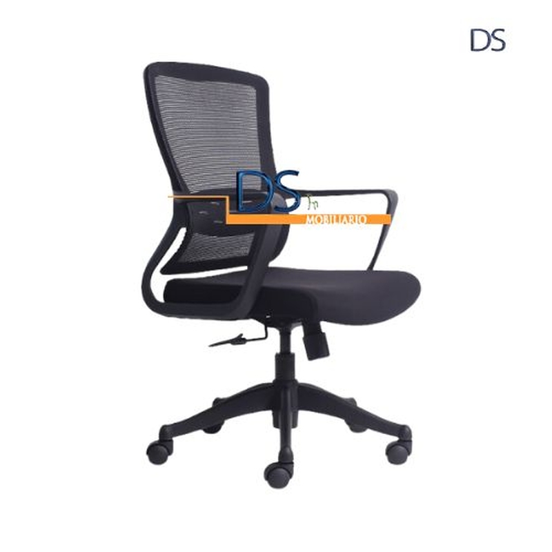 DS/RIAN