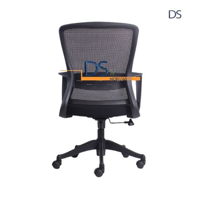 DS/RIAN