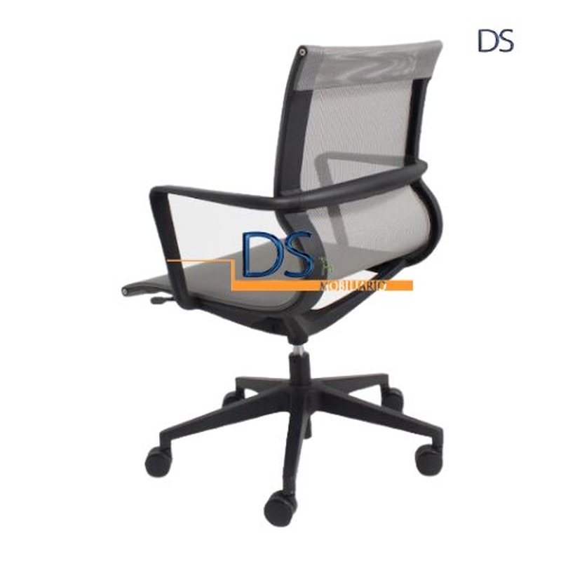 DS/SUC