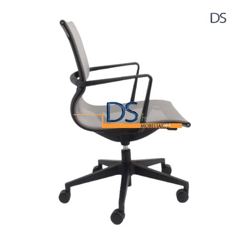 DS/SUC
