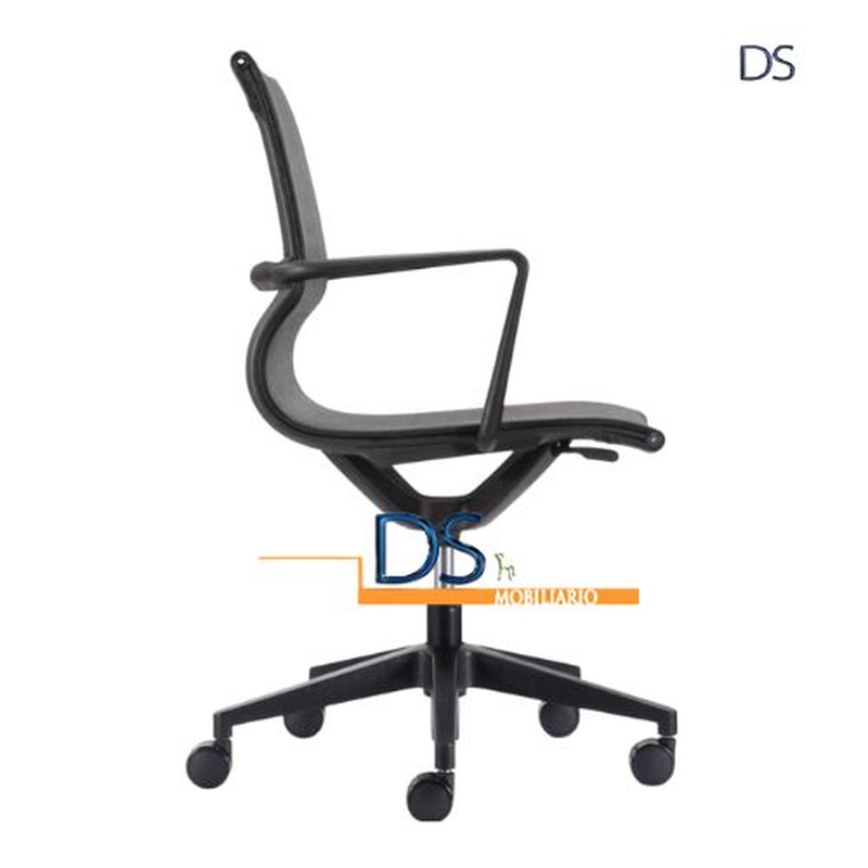 DS/SUC