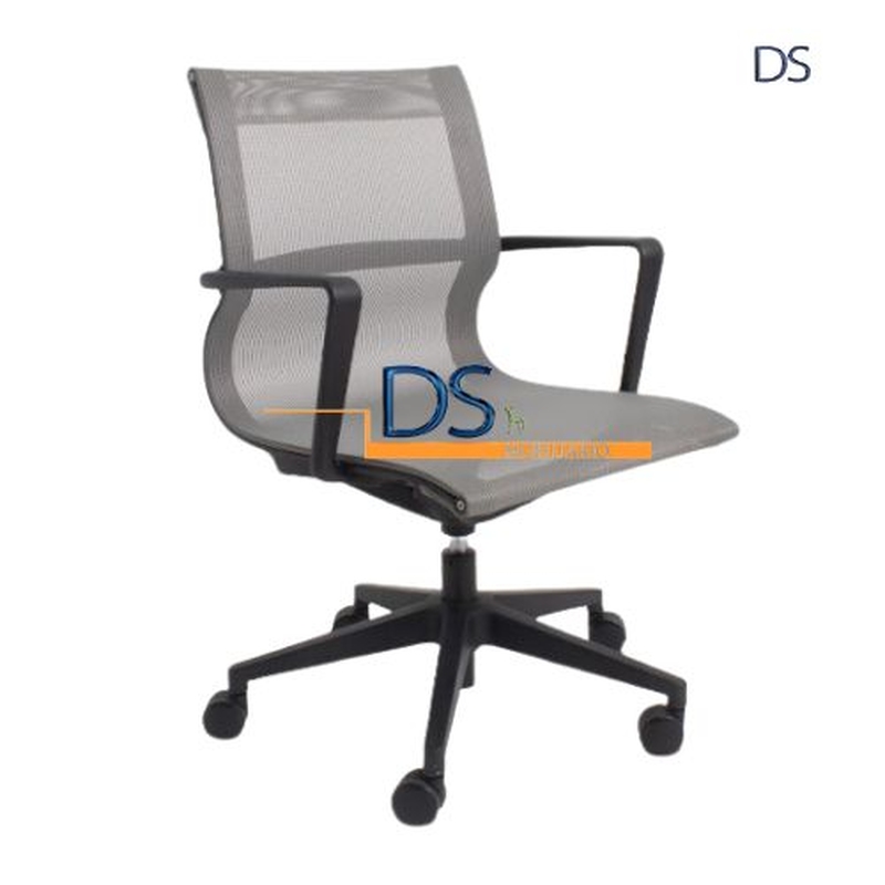 DS/SUC