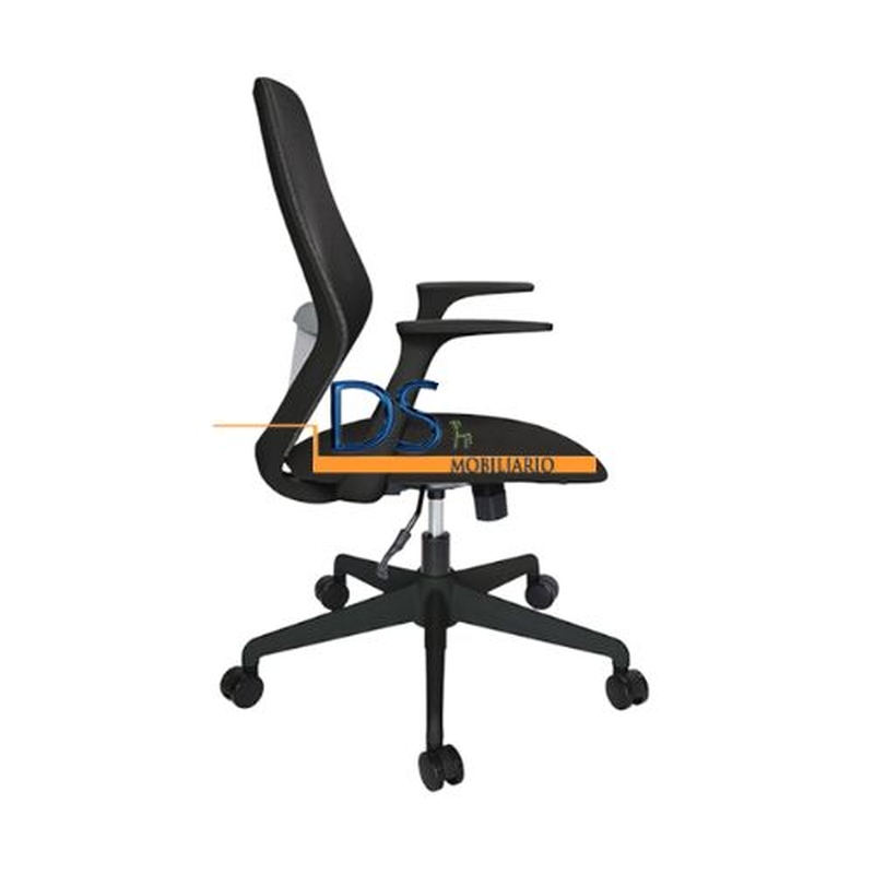 SILLA ASH