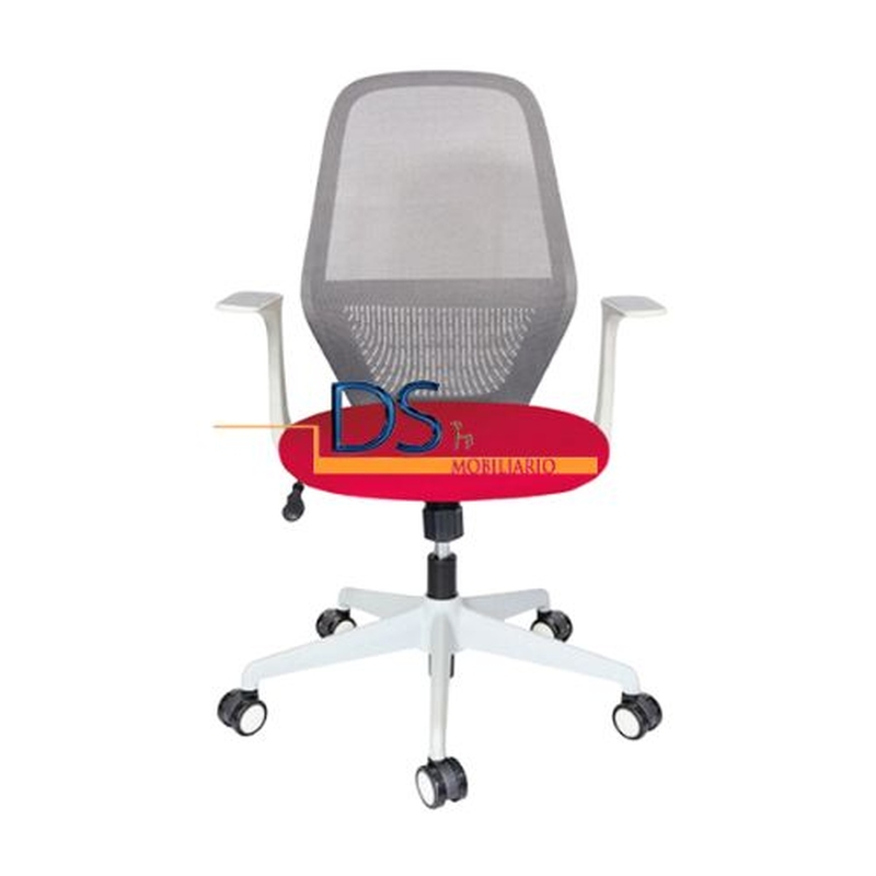 SILLA ASH