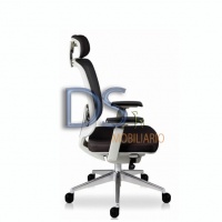 DS/FIN (MB) NG-GR