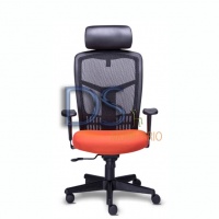 DS/RE-1950 (DS/RE-1951)