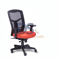 DS/RE-1950 (DS/RE-1951)