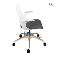 DS/DELLIN