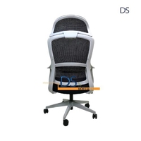 DS/ESL