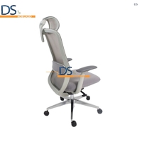DS/LON-GRIS
