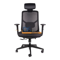 SILLA NEBU