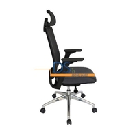SILLA OHO