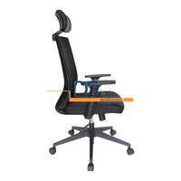 SILLA OSSE