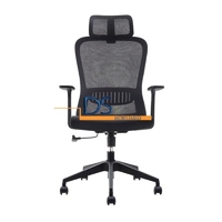 SILLA OZY